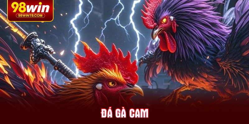 da-ga-cam